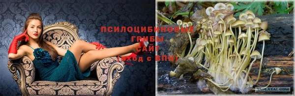 кокаин колумбия Покров