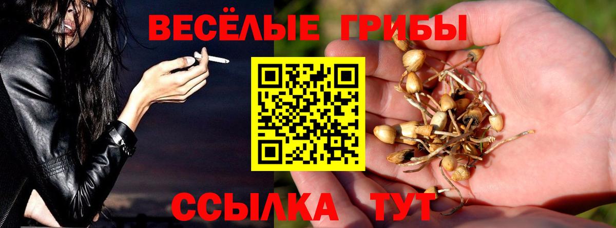 Псилоцибиновые грибы Magic Shrooms Дальнереченск